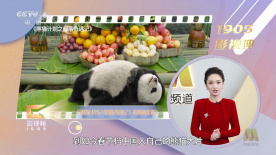 69视频永久免费观看下载